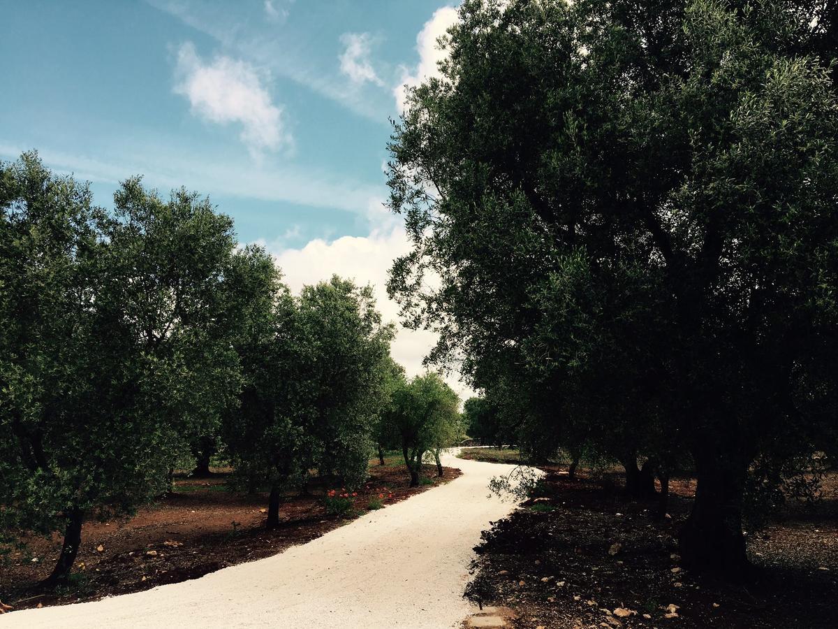 سيغلي ميسابيكا Fikus - The Apulian B&B المظهر الخارجي الصورة