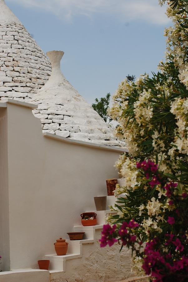 سيغلي ميسابيكا Fikus - The Apulian B&B المظهر الخارجي الصورة